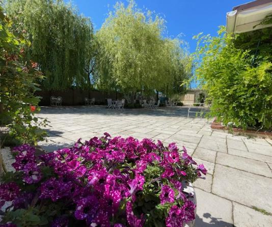 Hotel Casa De La Rosa Timisoara Ngoại thất bức ảnh