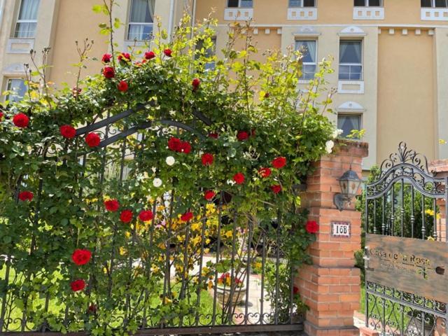 Hotel Casa De La Rosa Timisoara Ngoại thất bức ảnh